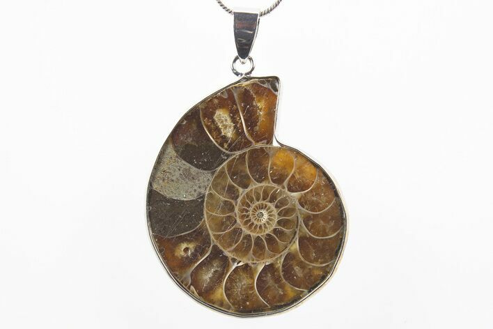 Fossil Ammonite Pendant - Million Years Old #306427